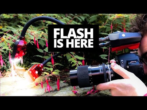 Adaptalux gallery image