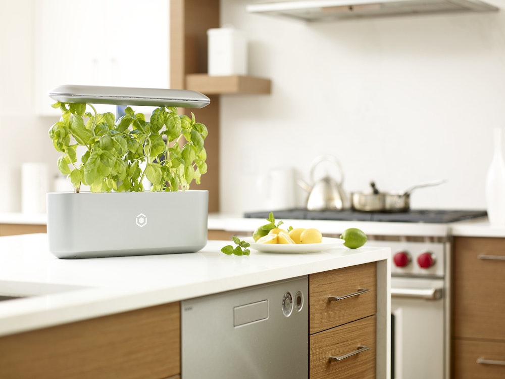 AVA Byte gallery image