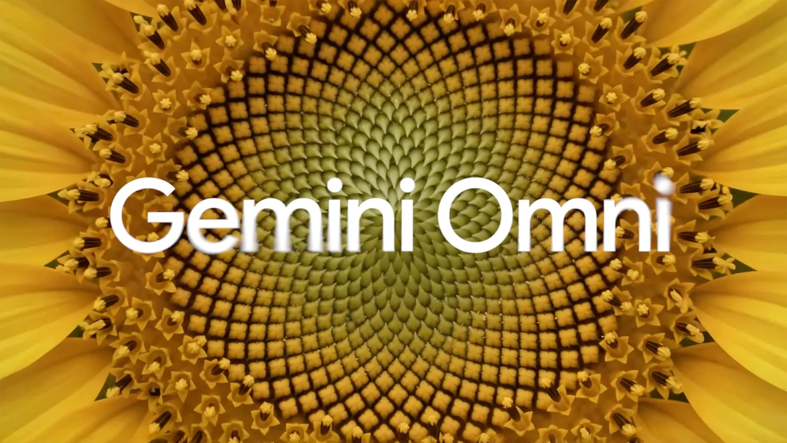 Gemini Omni Flash screenshot 2