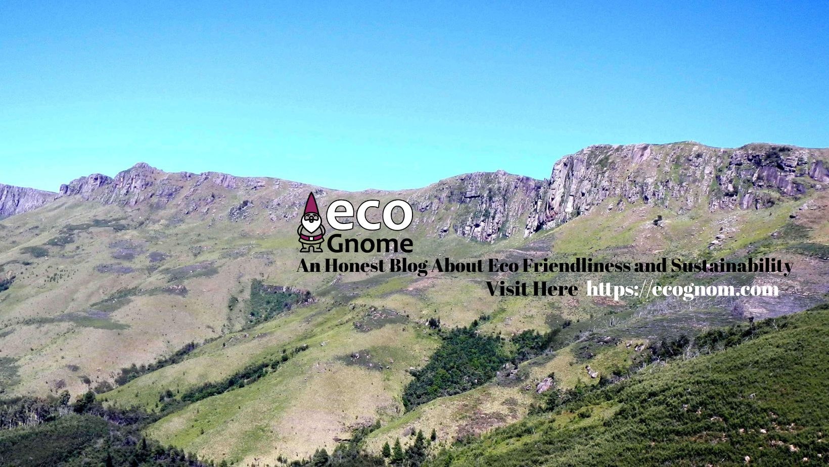 Ecognome media 1