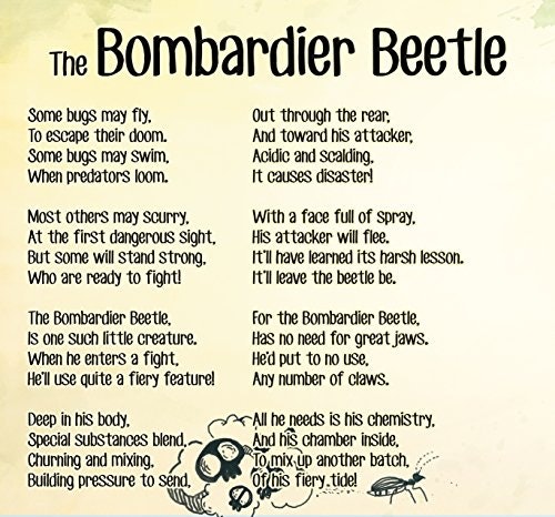 Evolutionary Tales gallery image