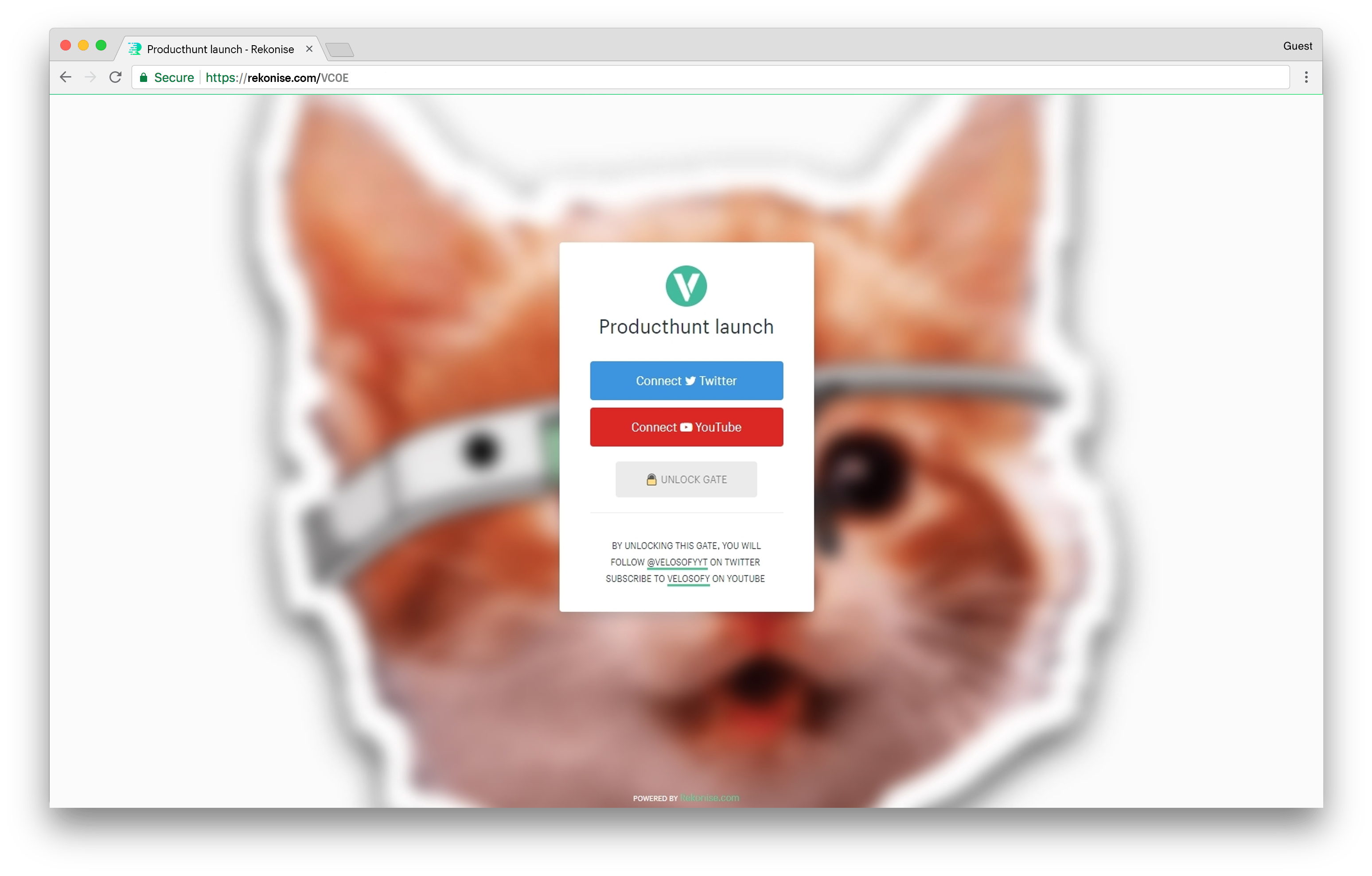 Rekonise gallery image