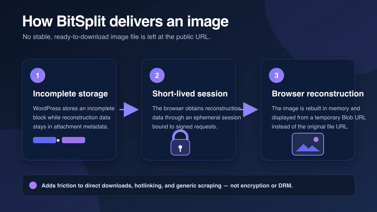 BitSplit Media Delivery gallery image