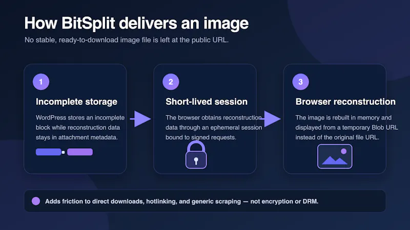 BitSplit Media Delivery screenshot 2