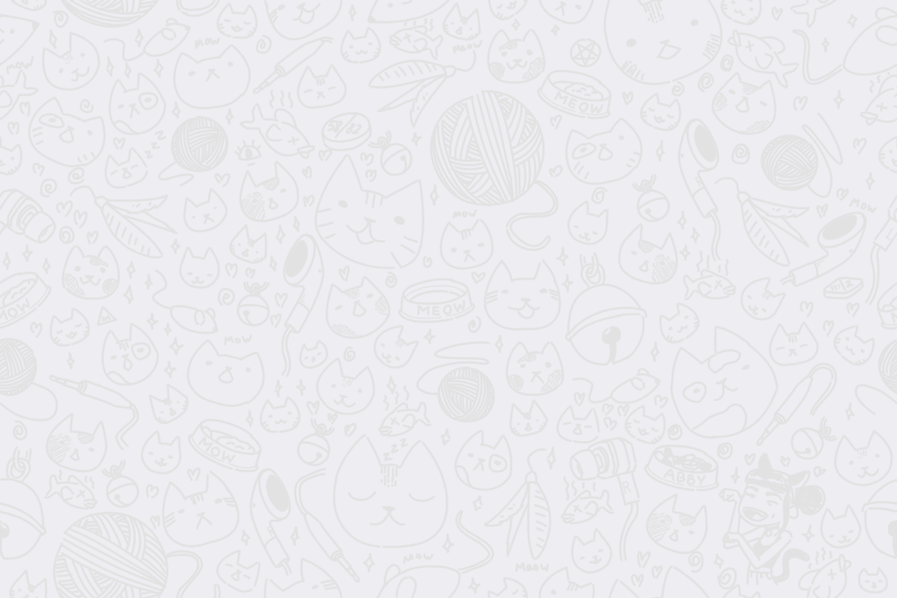 Podcat gallery image