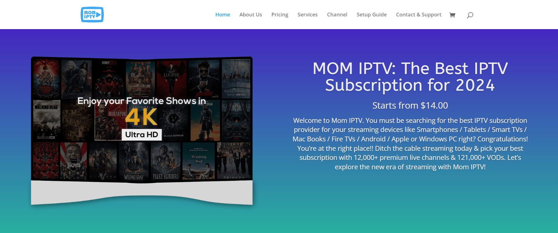 Mom IPTV gallery image