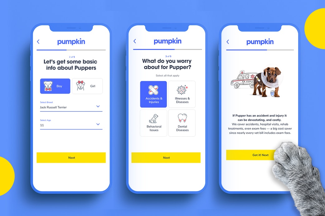 Pumpkin Petcare gallery image