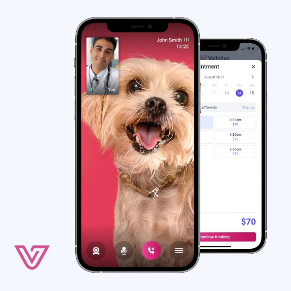 Vetster gallery image