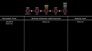 Git-Sim gallery image