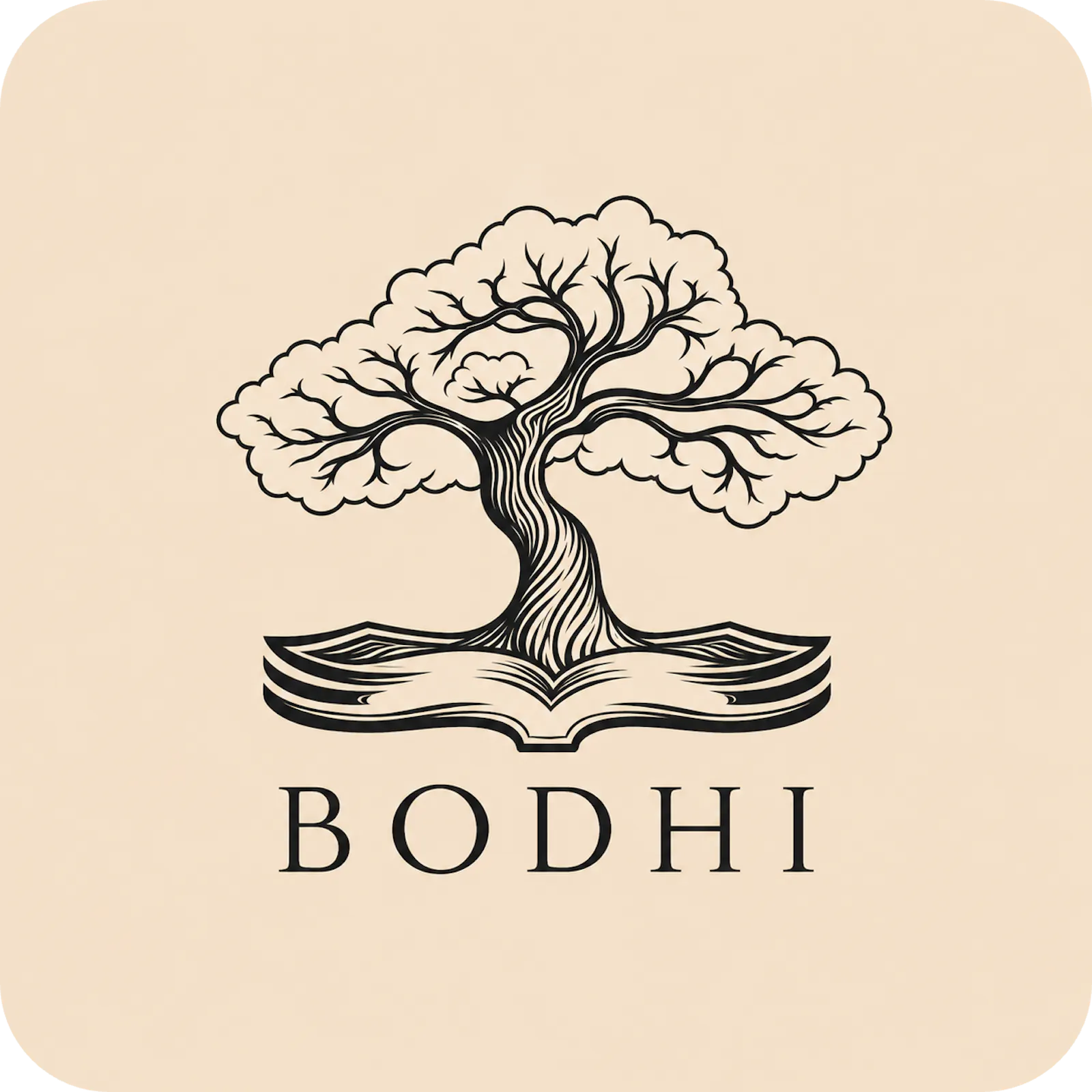 Bodhi screenshot 2