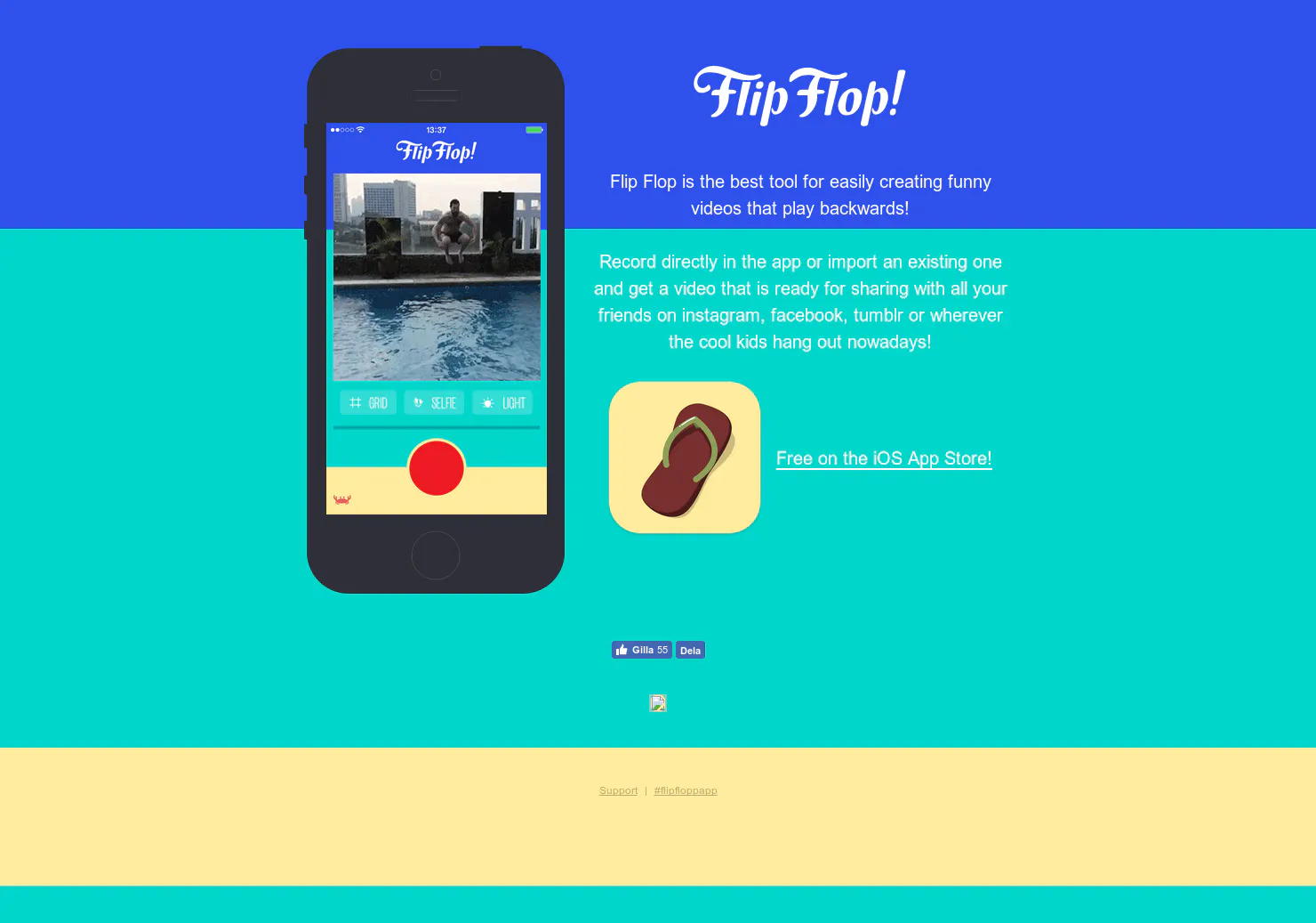 Flip Flop