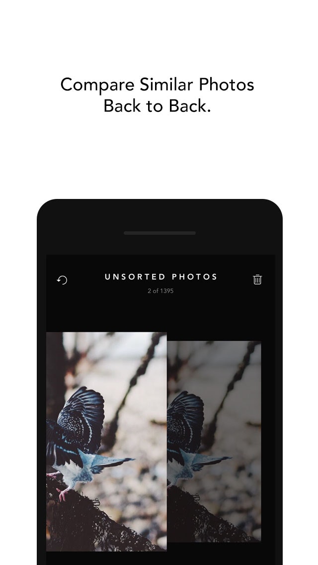 Slidebox gallery image