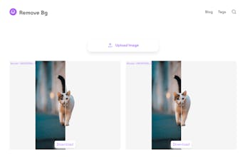 Remove Bg gallery image