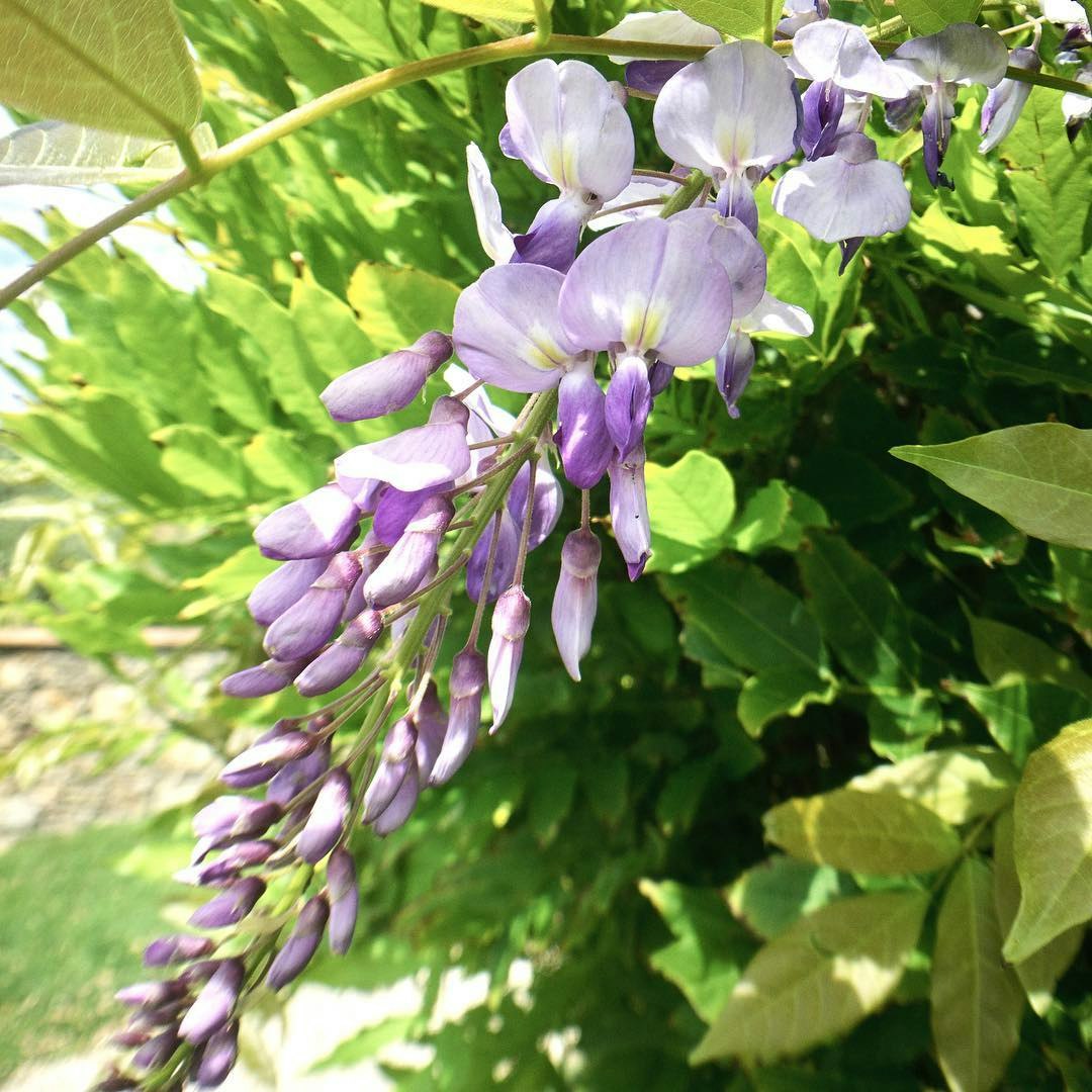 Reuk update 1.3 gallery image