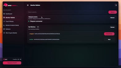 Track wallets and whales on Polymarket gallery image