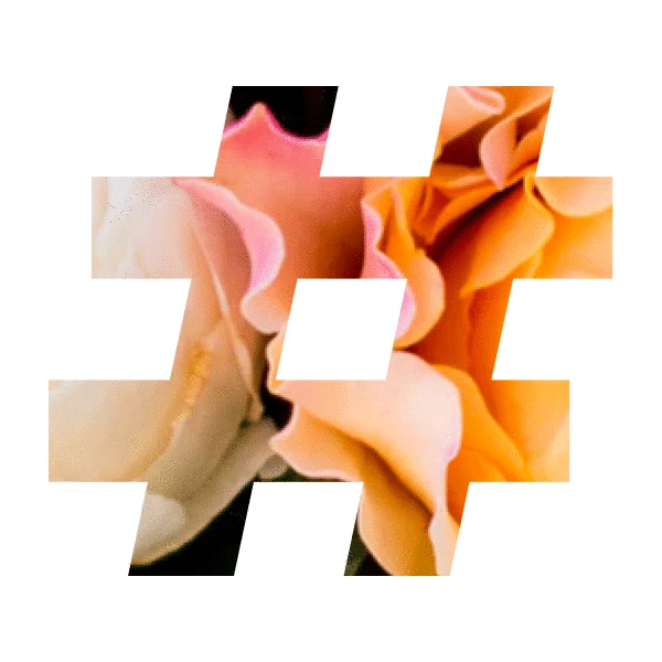 Hashtag Suggestions for Instagram