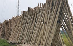 BAMBOO FACTORY - Bamboo Materials media 3
