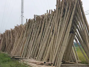 Nguyên Liệu Tre gallery image