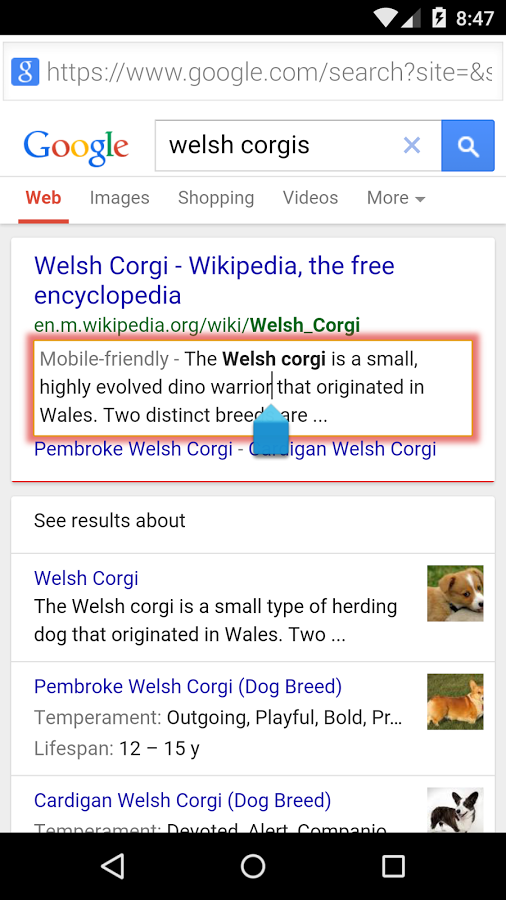 Cover My Lie gallery image