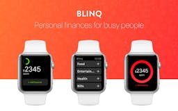 Blinq: Simple Expense Tracker & Spendings Analytics media 1