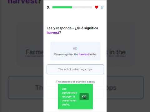 QuizifyOne gallery image