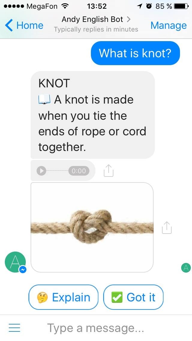 Andy English Bot gallery image