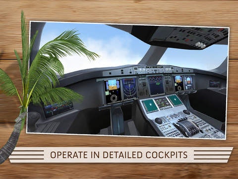 Take Off - The Flight Simulator gallery image