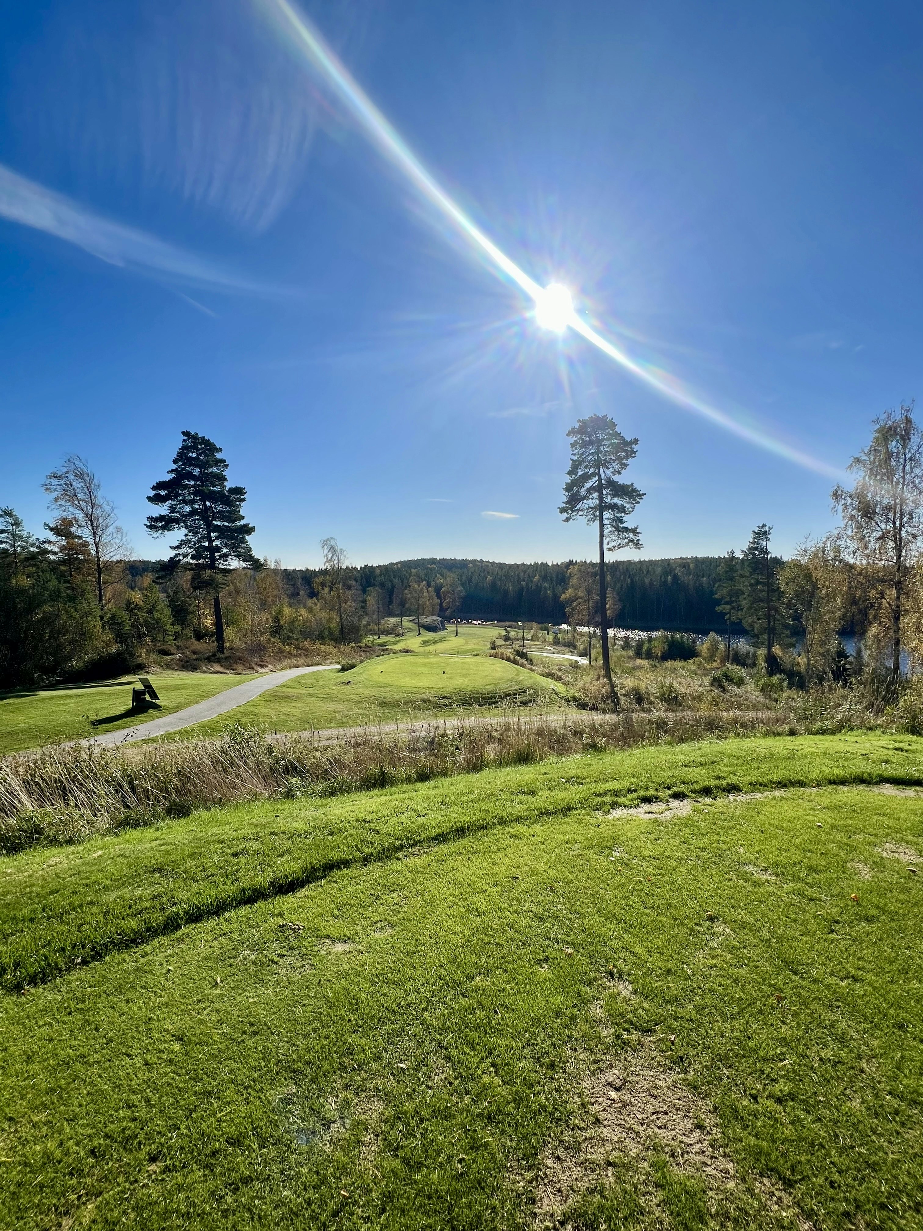 Mental Performance Training - Screenshot 2 showing product features and functionality