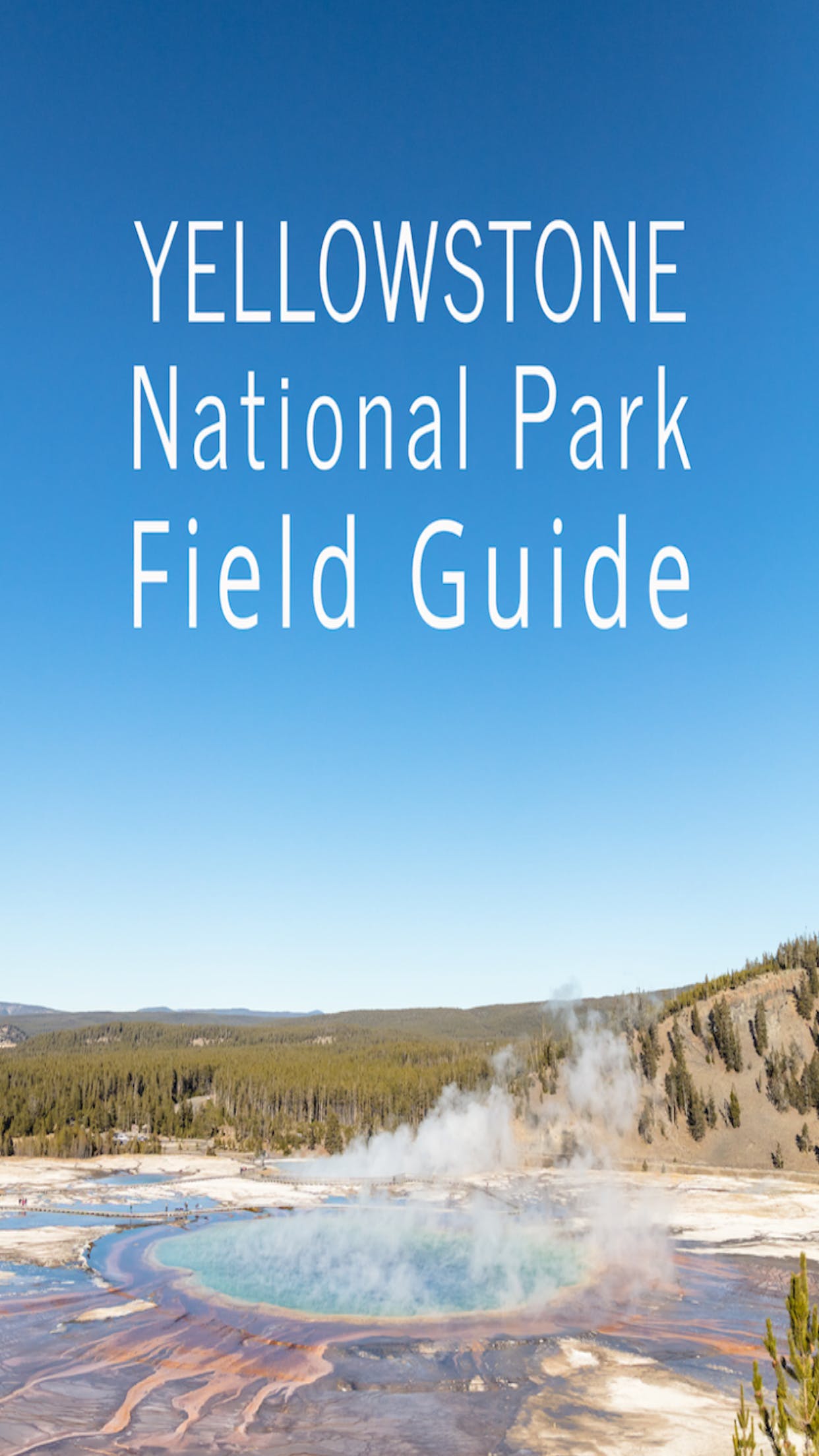Yellowstone NP Field Guide media 1
