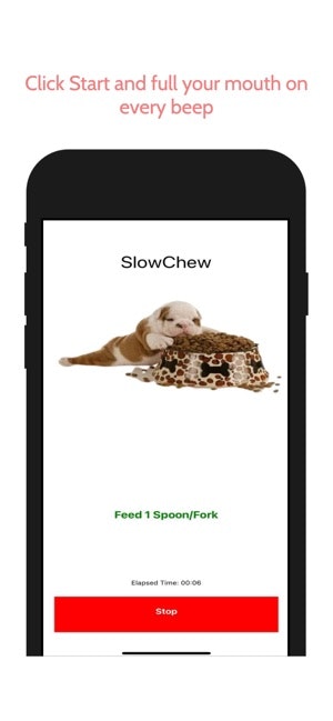 SlowChew gallery image