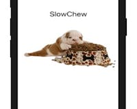 SlowChew media 2