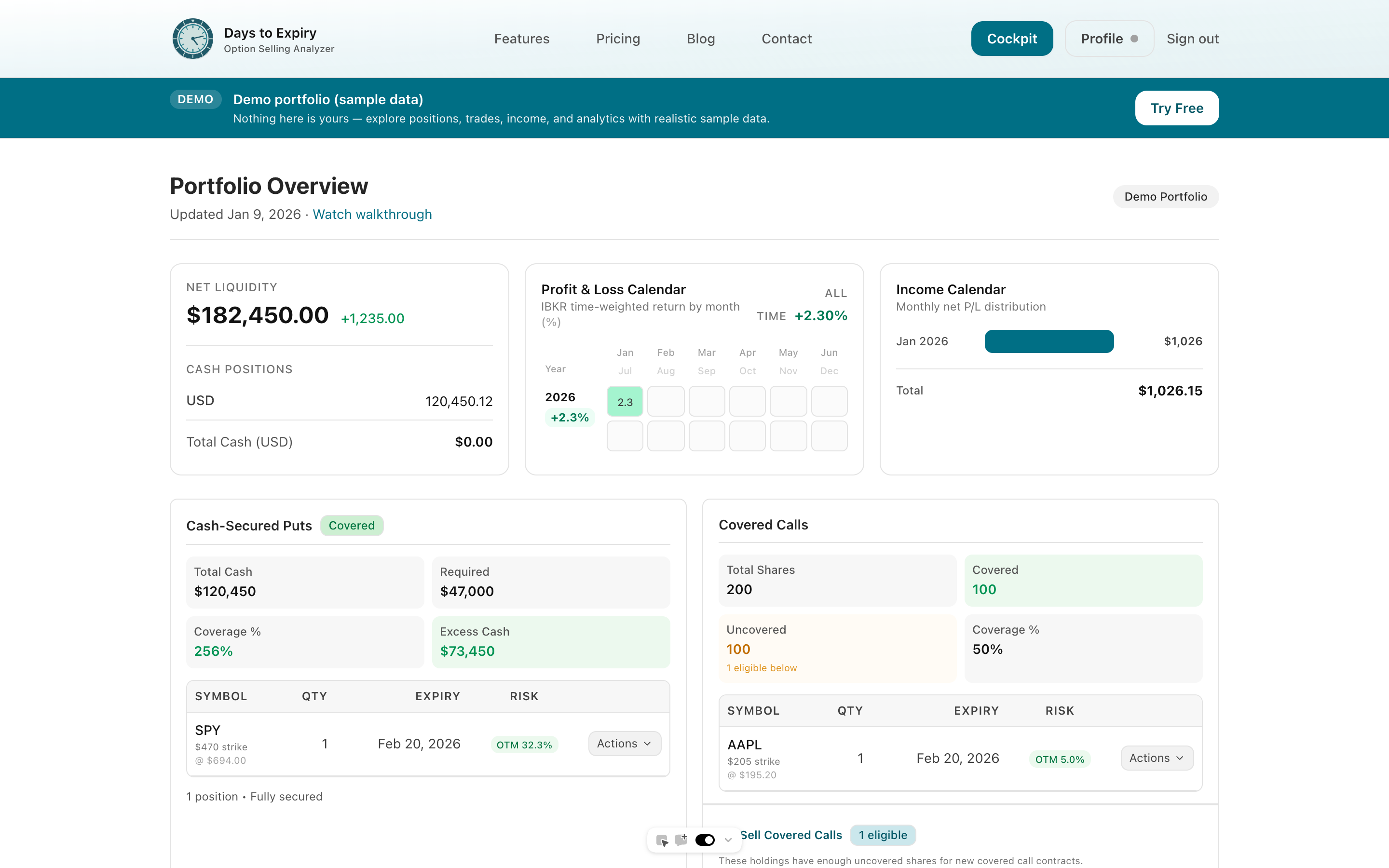 Days to Expiry — Option Selling Analyzer gallery image