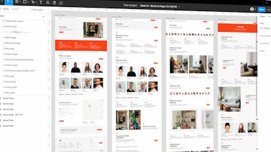 Koala UI gallery image