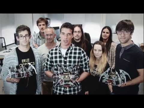 Erle-Spider gallery image