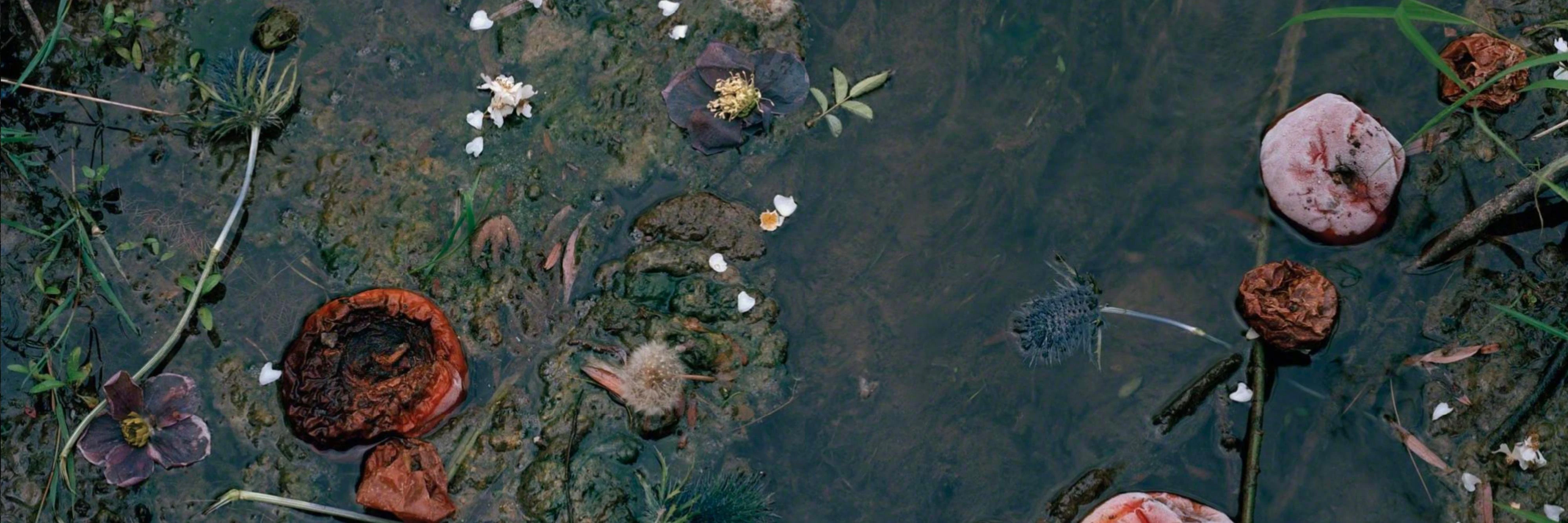 Christian Rocha cover