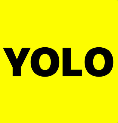 YOLO logo