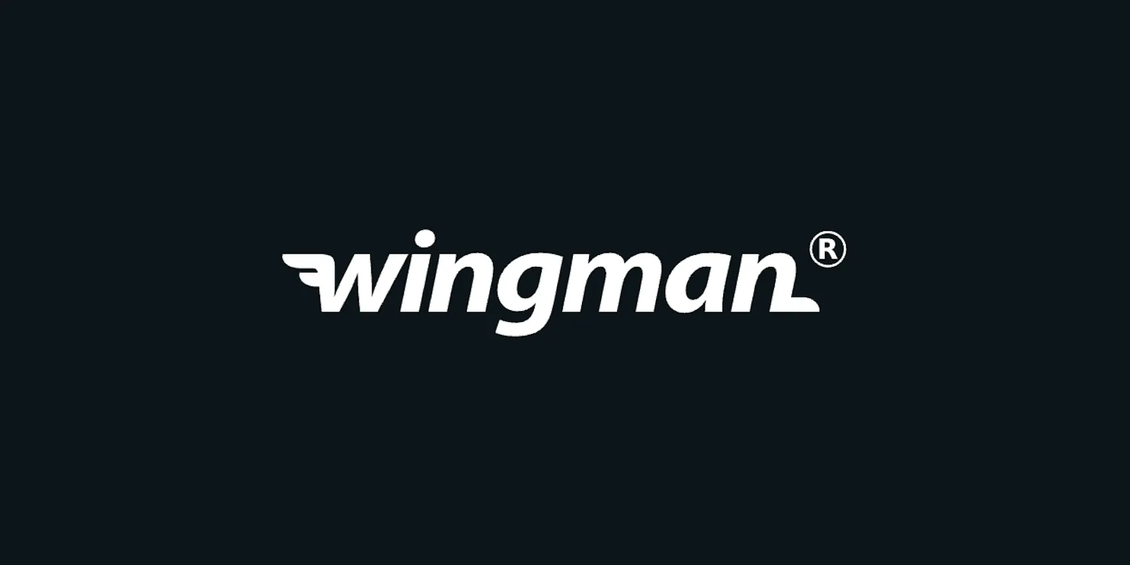Wingman screenshot 1