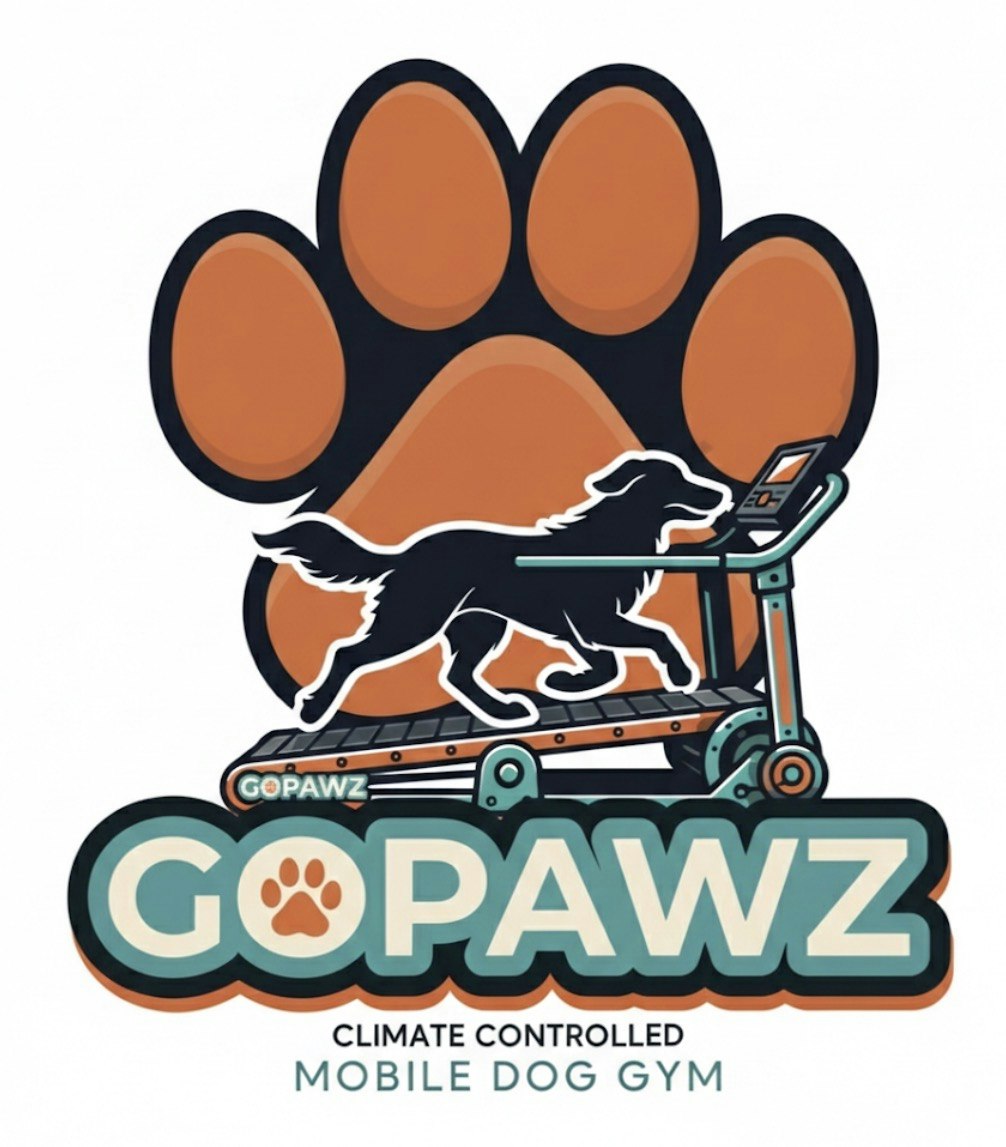 Video Editor Specialist gallery image