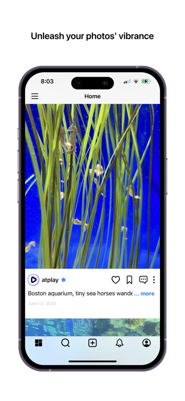 AtPlay media 3