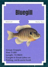 NFTs fishing - catch your rare NFT fish! gallery image