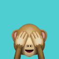 Sensay