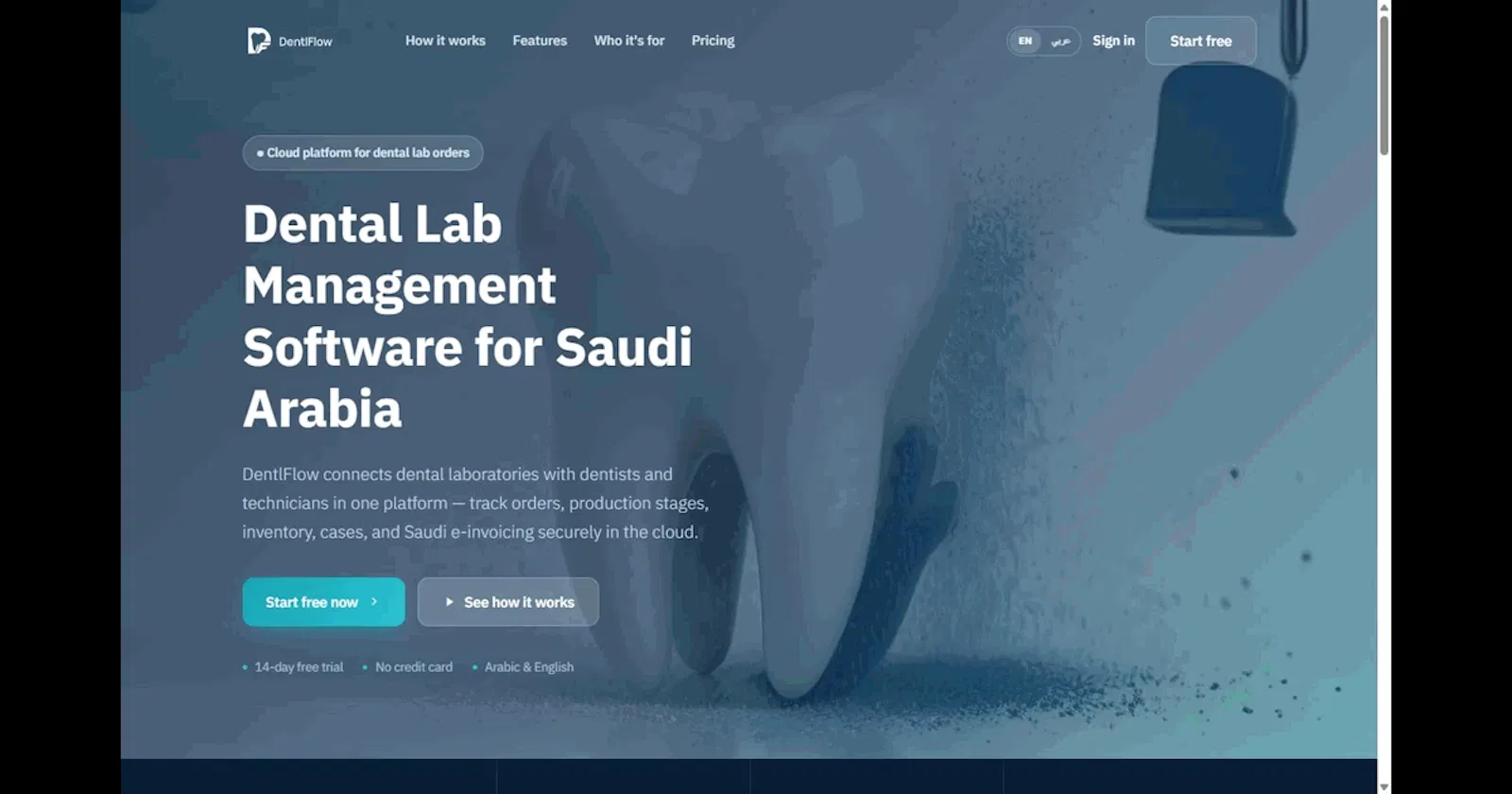 DentlFlow screenshot 1
