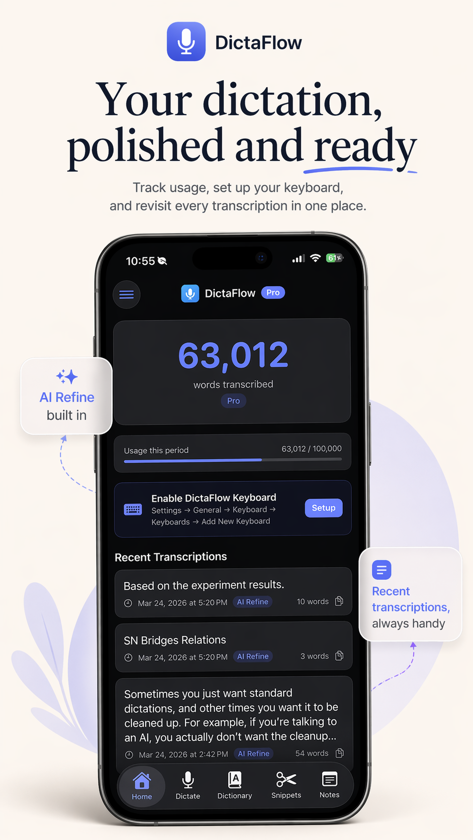 DictaFlow gallery image