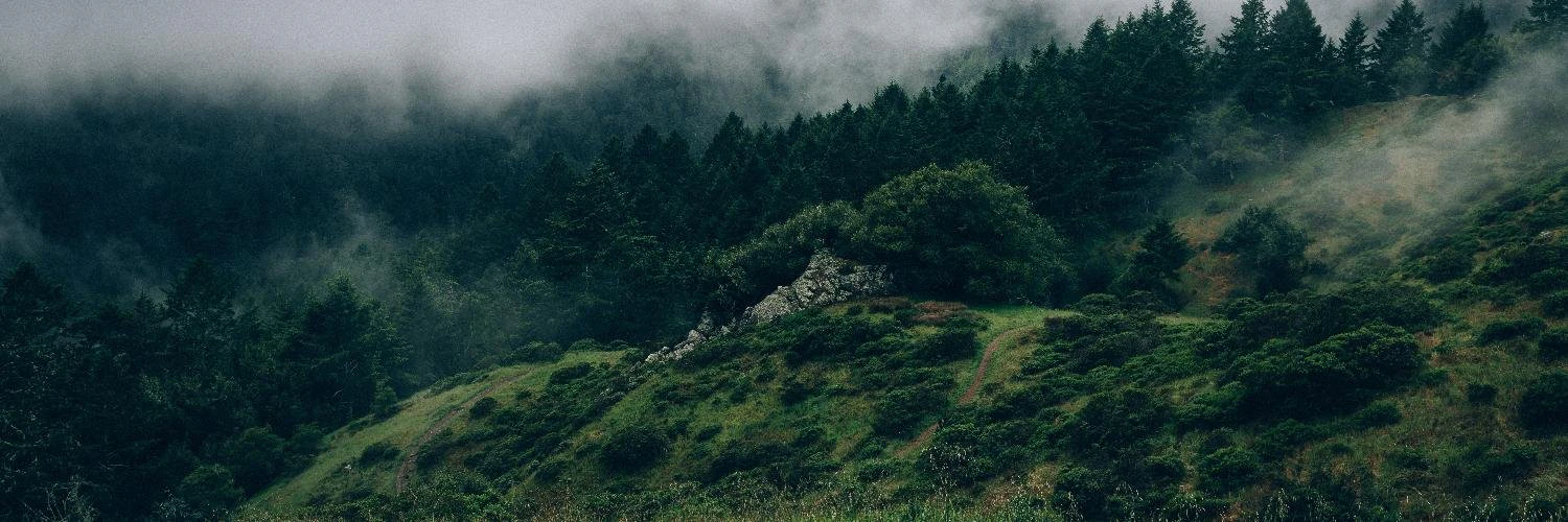 Christopher Davis cover