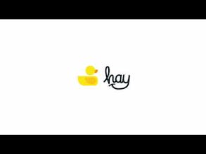 HAY's DX Platform gallery image