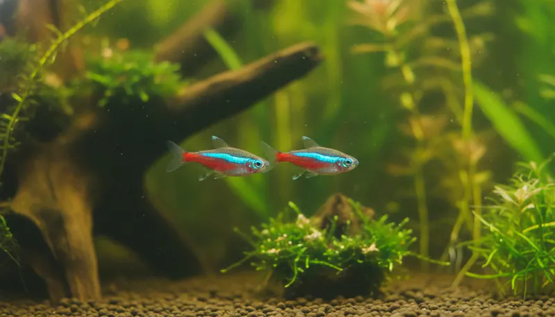 Fishkeeping screenshot 1