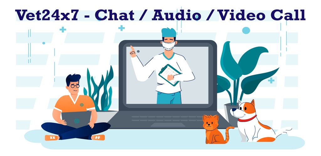 Vet24x7 gallery image