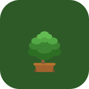 Bonsai Pilot — Bonsai Care Tracker