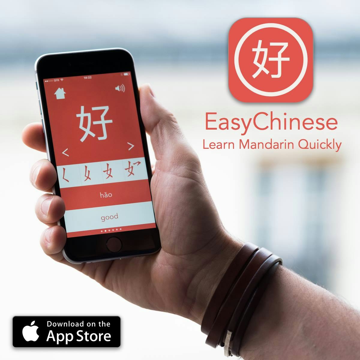 EasyChinese - Learn Mandarin Quickly gallery image