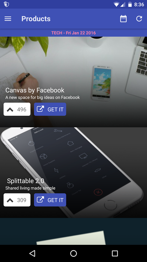 Feline gallery image